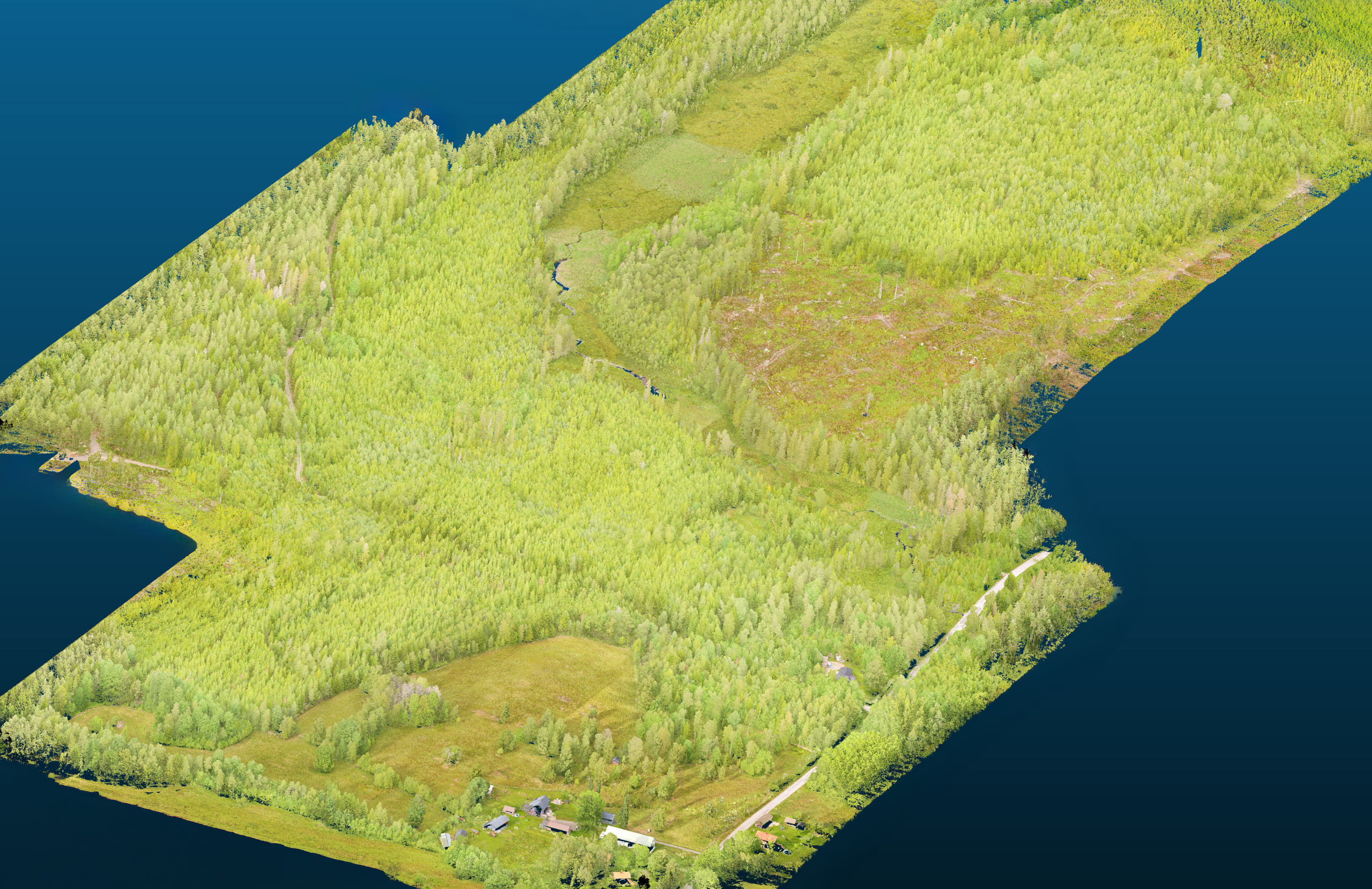 3D-punktmoln från LiDAR-skanning 3D-punktmoln skapat med LiDAR-skanning som visar terräng och vegetation i hög detalj.